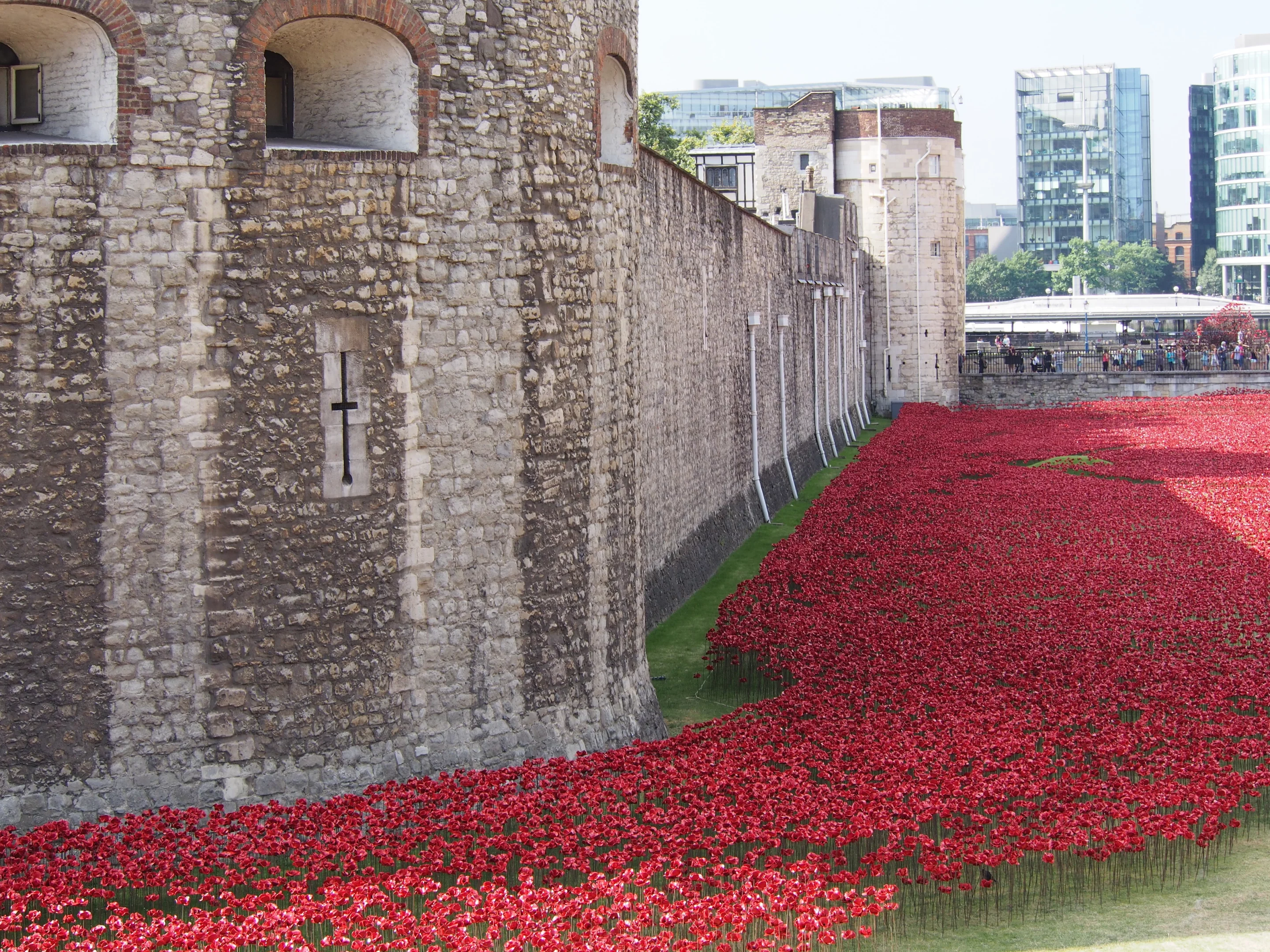 The installation will grow in size until the last poppy is placed on Armistice Day, November 11 (Photo: Adam Williams/Gizmag)