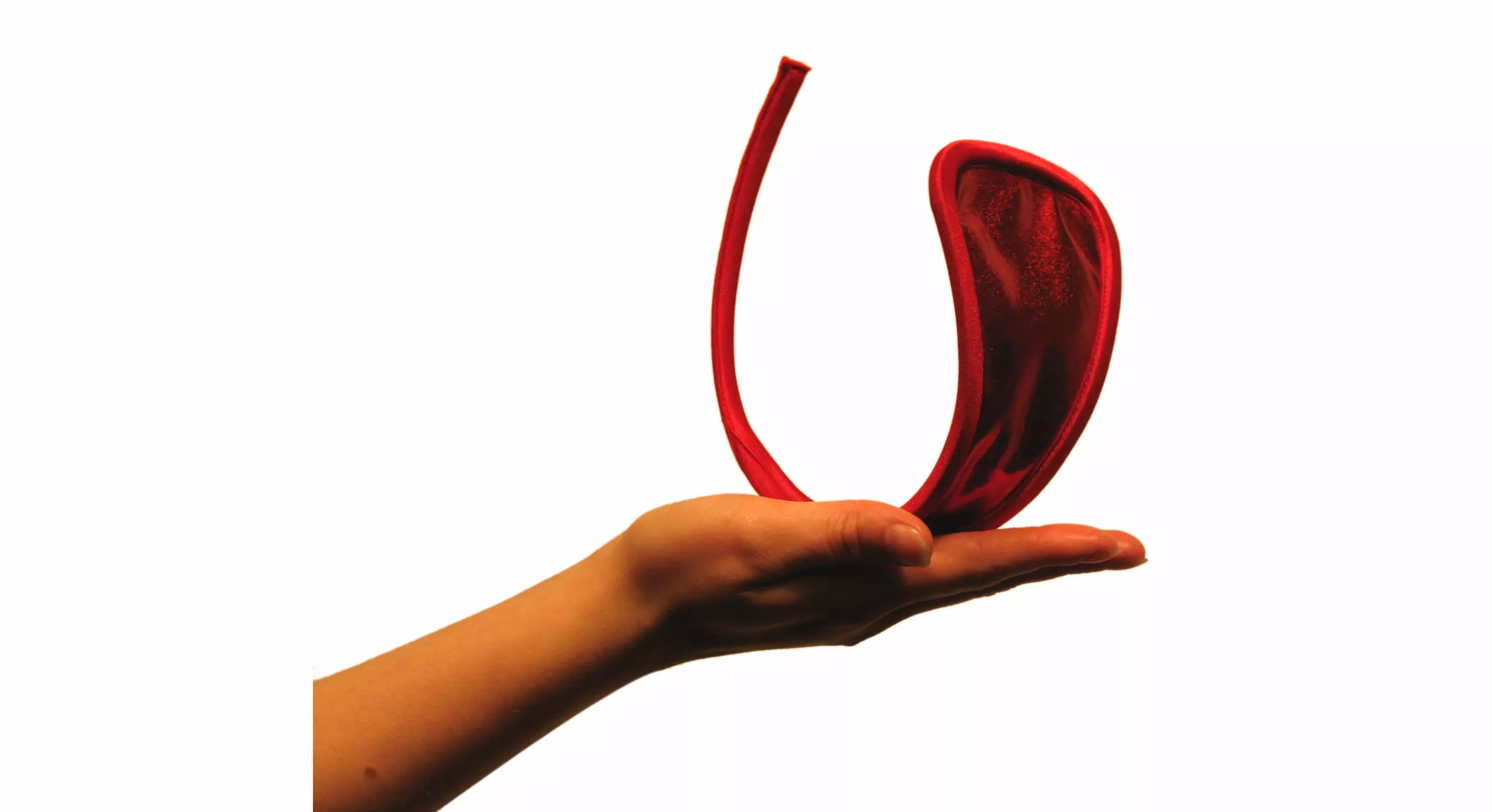 Yes, that's supposed to be a piece of underwear. No, me neither.