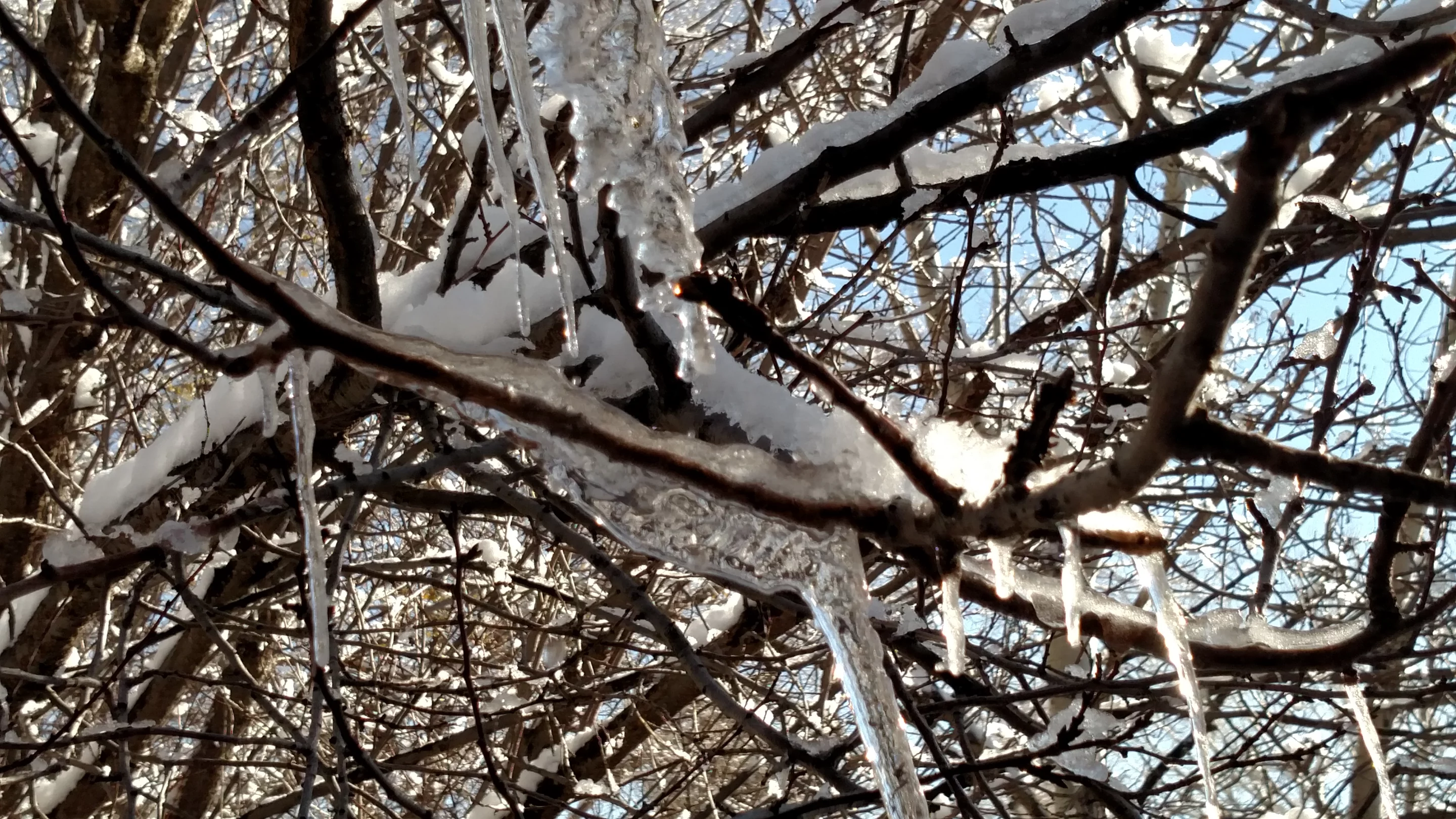 Neither auto-focus nor digital zoom are perfect (Photo: Eric Mack/Gizmag.com)