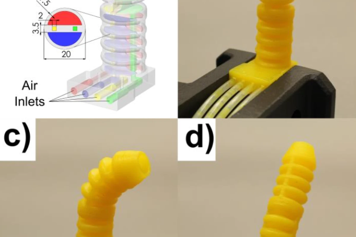 The researchers used their new technique to produce pairs of actuators they say mimc the function of octopus tentacles