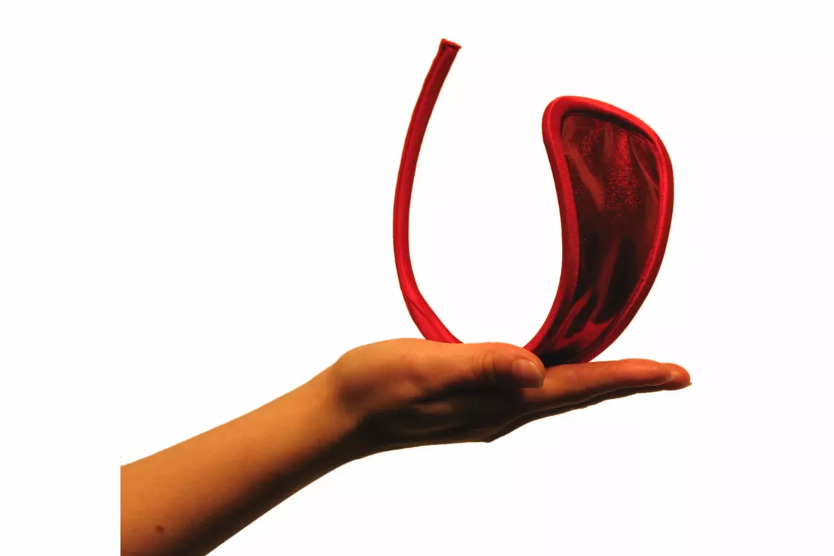 Yes, that's supposed to be a piece of underwear. No, me neither.