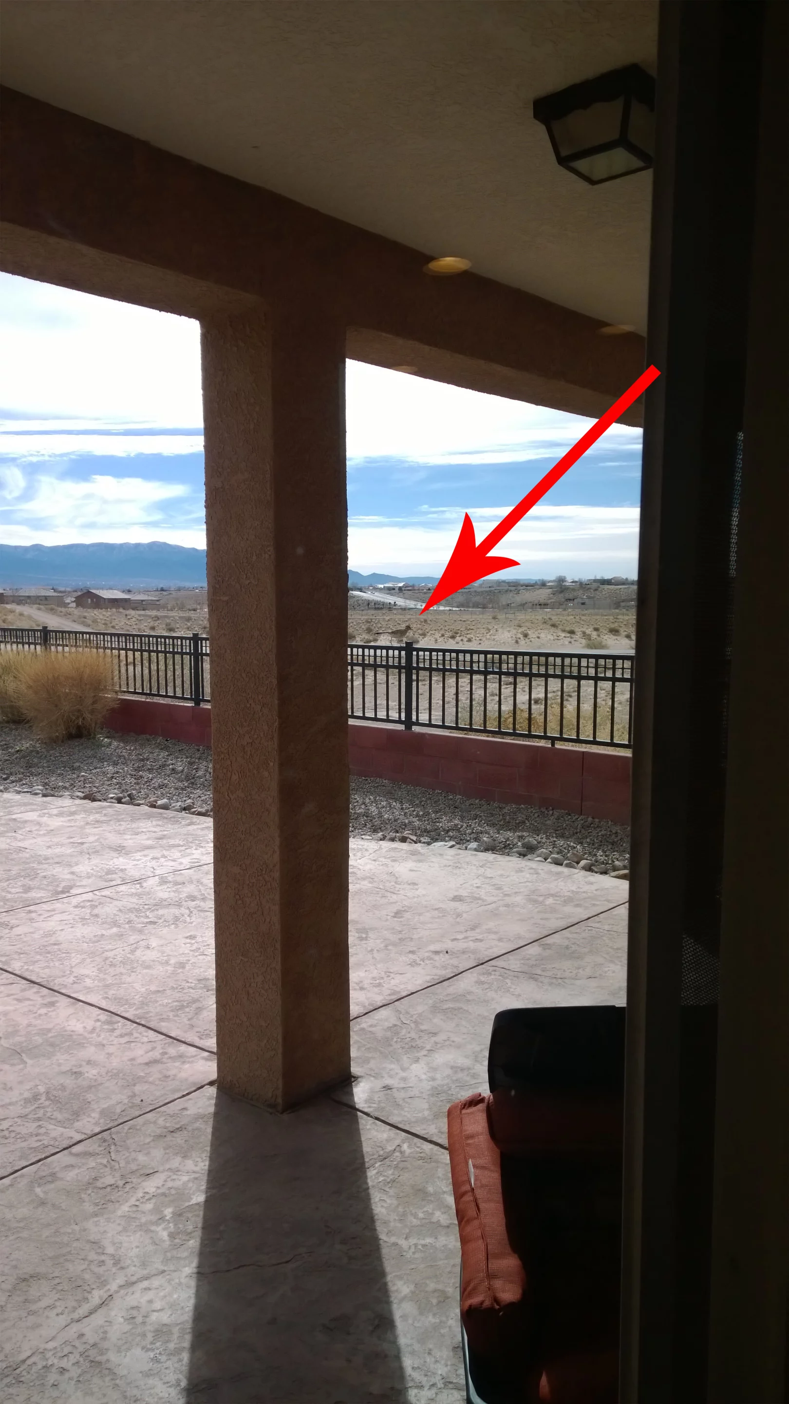 ... some perspective on just how much we cropped this shot to frame the roadrunner