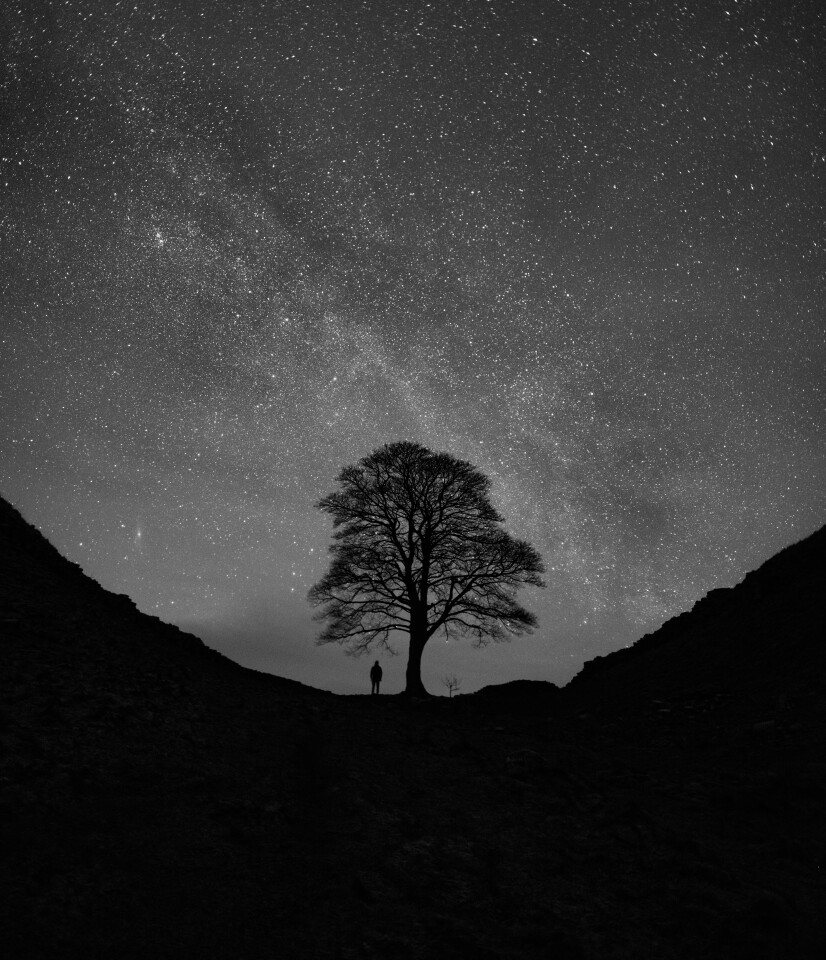 Highly Commended in People and Space, Mark McNeill says "This photograph was taken just after Christmas at the Sycamore Gap, Hadrian’s Wall in Northumberland and showcases the majestic winter Milky Way and the Andromeda galaxy. The temperature was about -4°C and the photographer arrived from Lancashire at 11am but had to wait till 2.30am for the Moon to set and for all the stars to be visible"