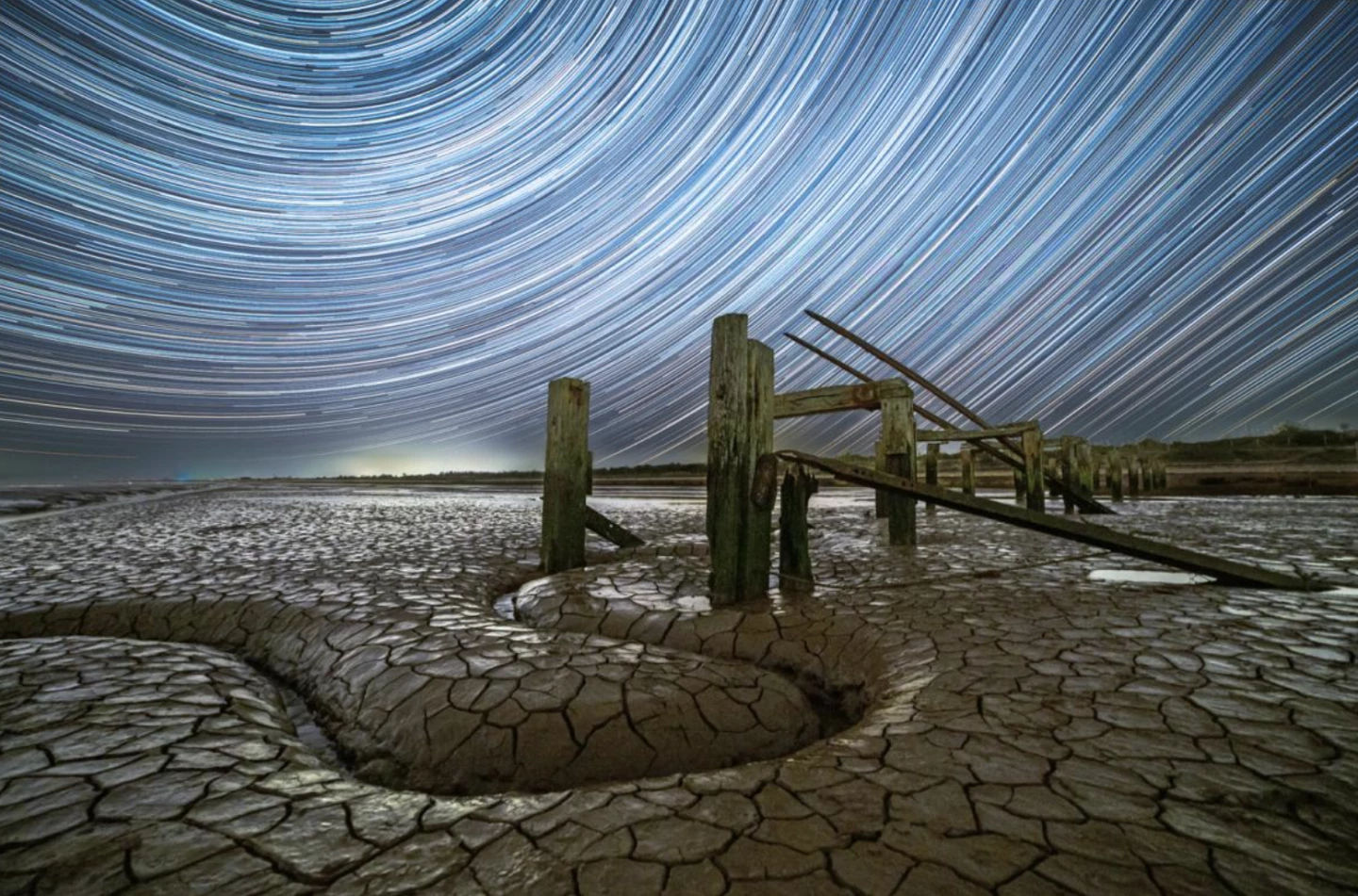 Serpentine by Paul Haworth