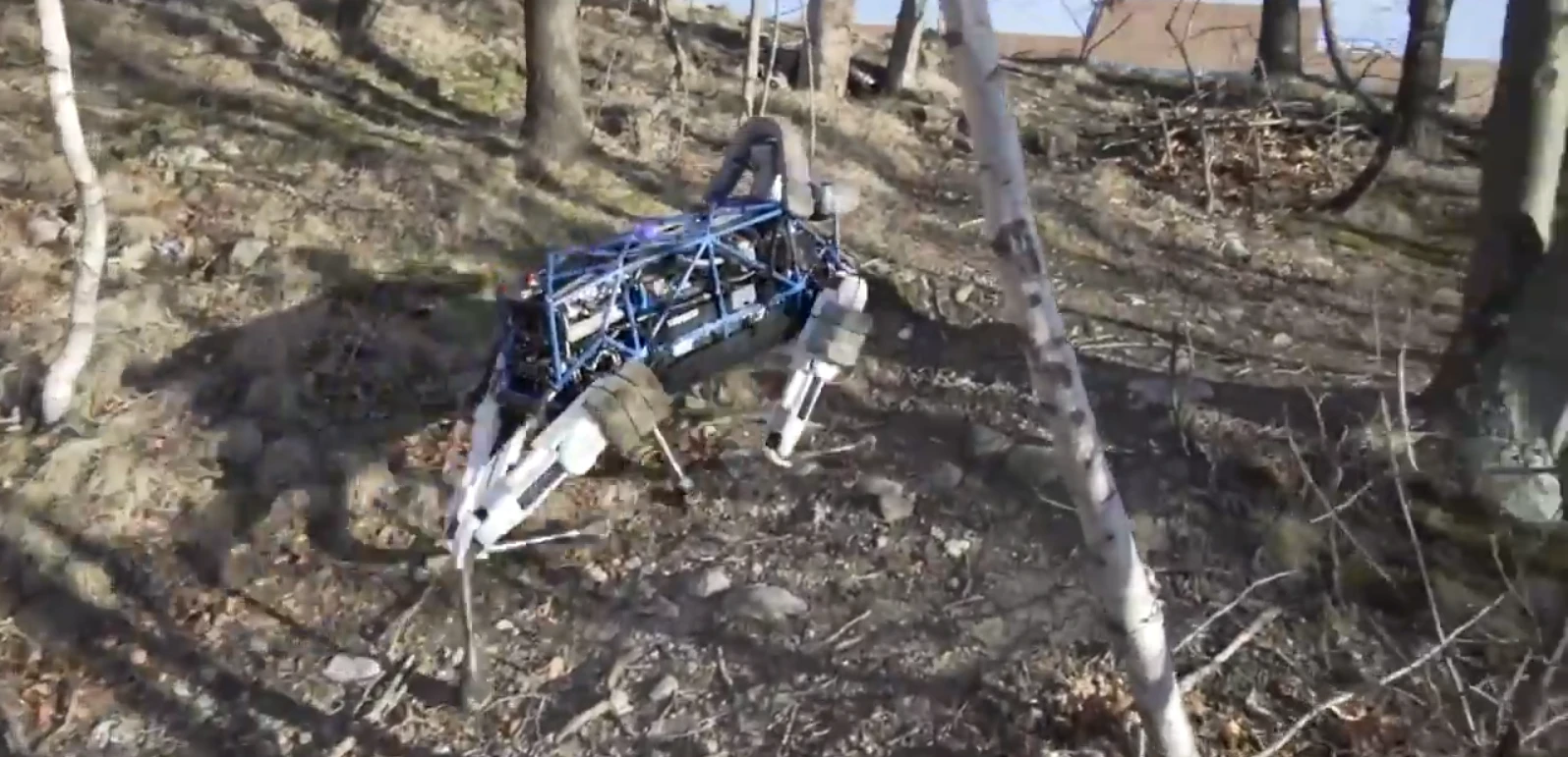 Spot negotiating a hill