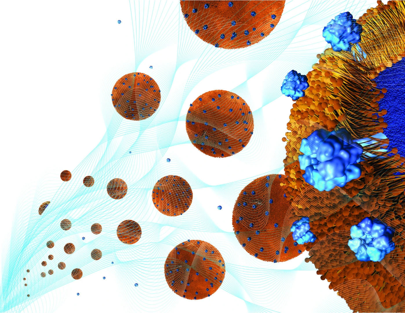Toxin-absorbing nanoparticles are loaded into a holding gel to make a nanosponge-hydrogel, which can potentially treat local bacterial infections