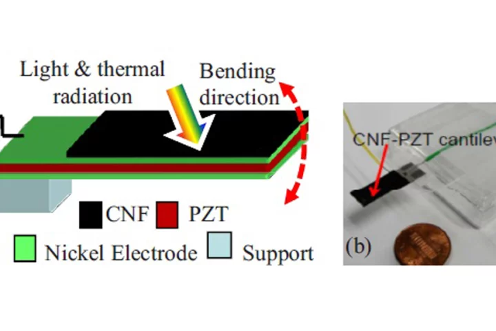 The piezoelectric CNF-PZT Cantilever device