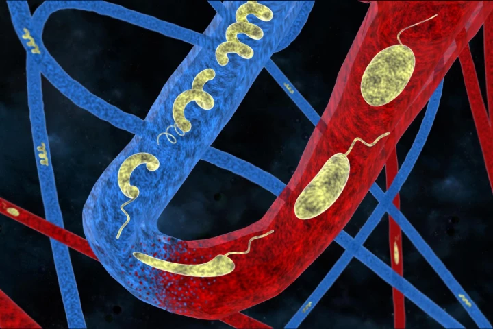 A new breed of medical micro-robots made to explore the human body can automatically adapt to the different environments in there