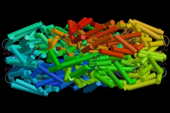 Structure of the plant protein phycocyanin(Image: Protein Database)