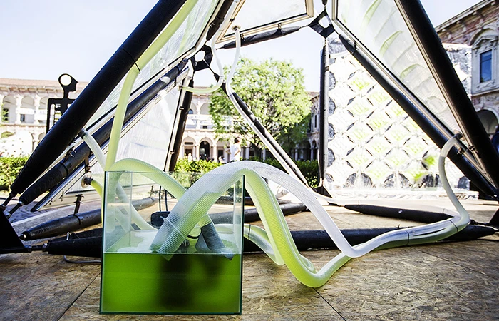 A series of tubes pumps the microalgae fluid around to the panels.