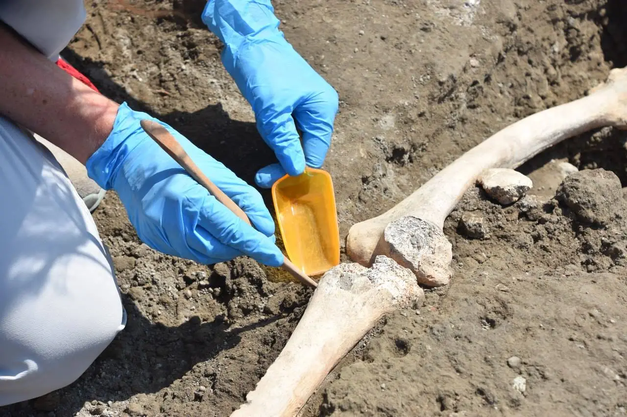Anthropologists believe the man had a limp caused by a bone infection, which may have impeded his escape efforts