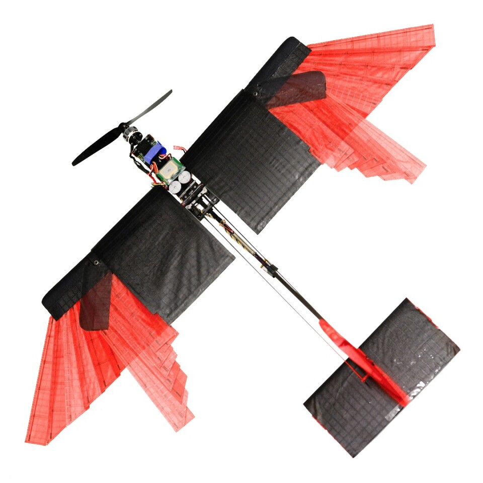 The scientists set out to build a drone that could adjust the configuration of its wings to fly between obstacles, make sharp turns and also stand up in strong winds