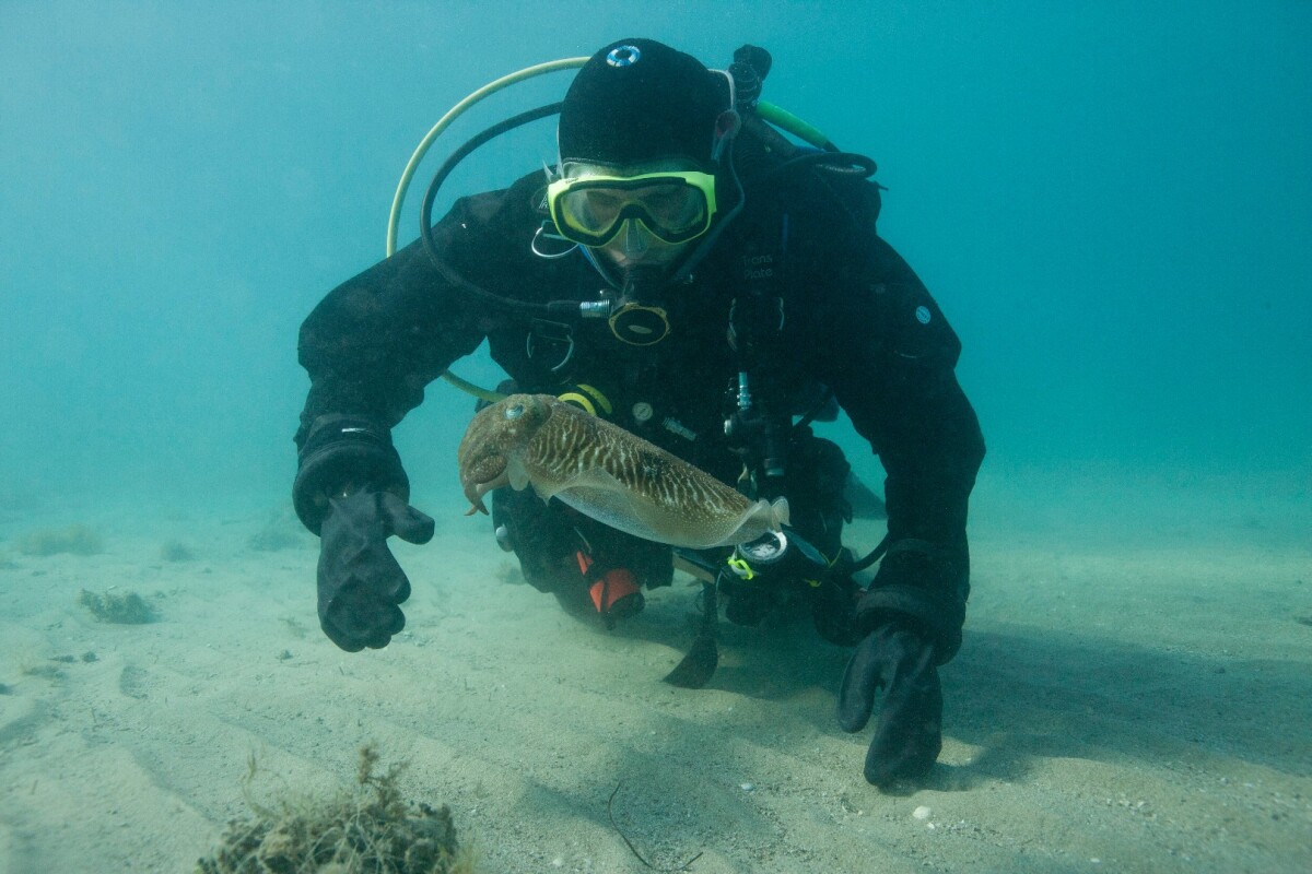 Researcher Justine Allen with a cuttlefish