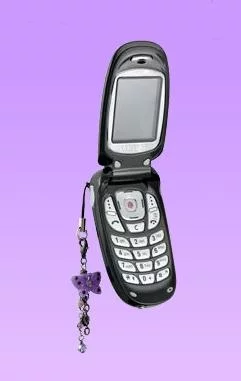 Anna Sui Mobile by Samsung
