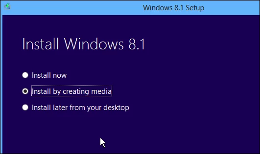 You have the option to create a DVD or USB version of Windows 8.1