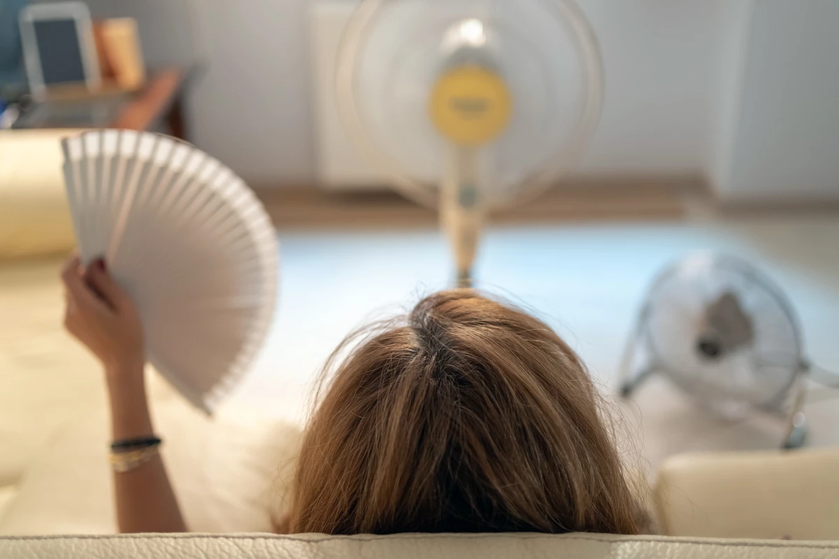 Severe hot flashes were significantly reduced in menopausal women who ate a vegan diet