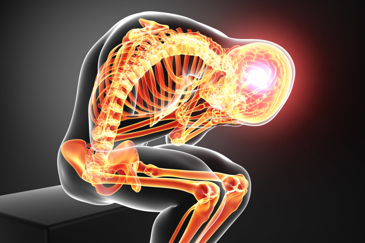 In experiments using mouse models, scientists have found neuron cells in the central amygdala of are linked to more than a dozen pain response regions in the brain