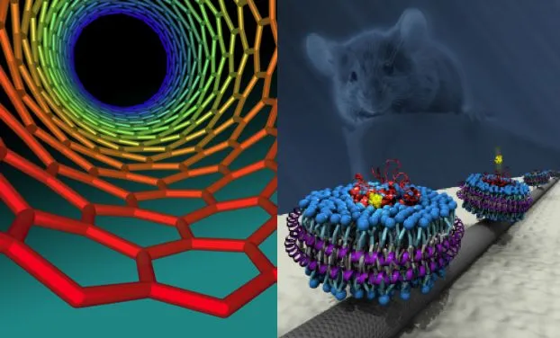 Scientists have grafted olfactory receptors onto carbon nanotubes, in a step towards producing electronic devices that can 'smell' (Image: Geoff Hutchison/Robert Johnson)