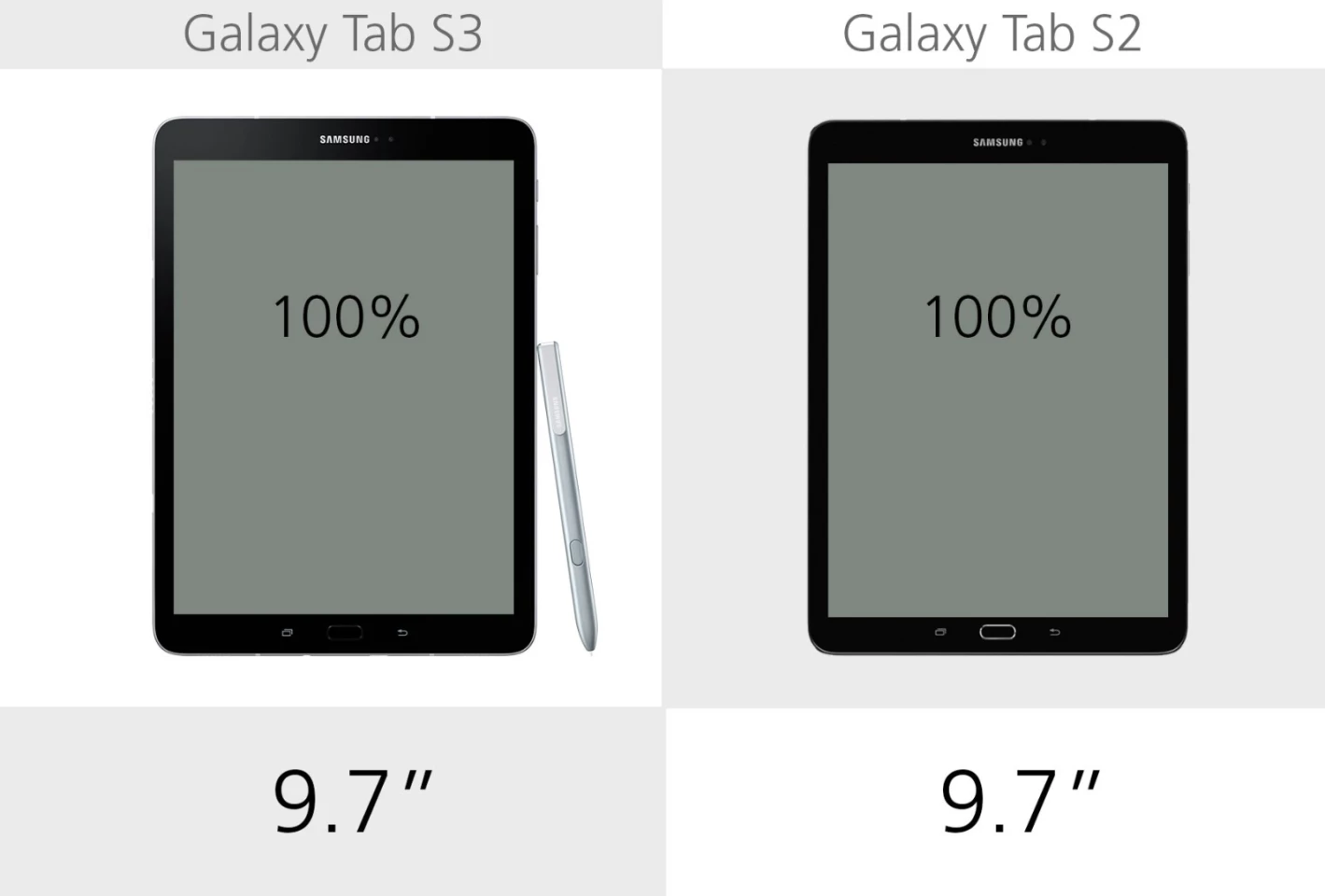 Display size