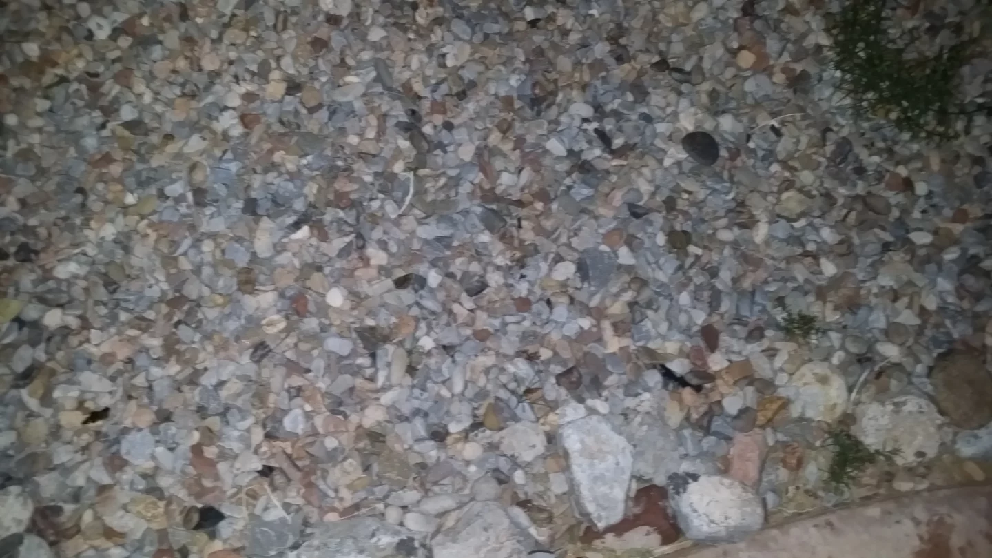 Flash photography taken with the Galaxy Note 3