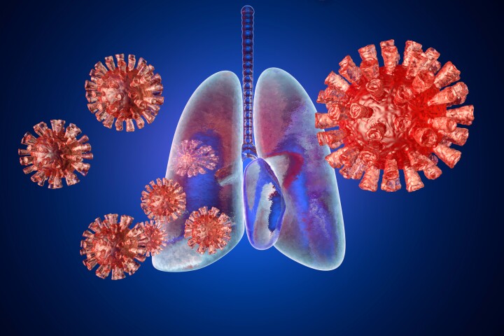 Researchers have developed a plant-derived non-steroidal anti-inflammatory that does not weaken the innate immune system like existing drugs