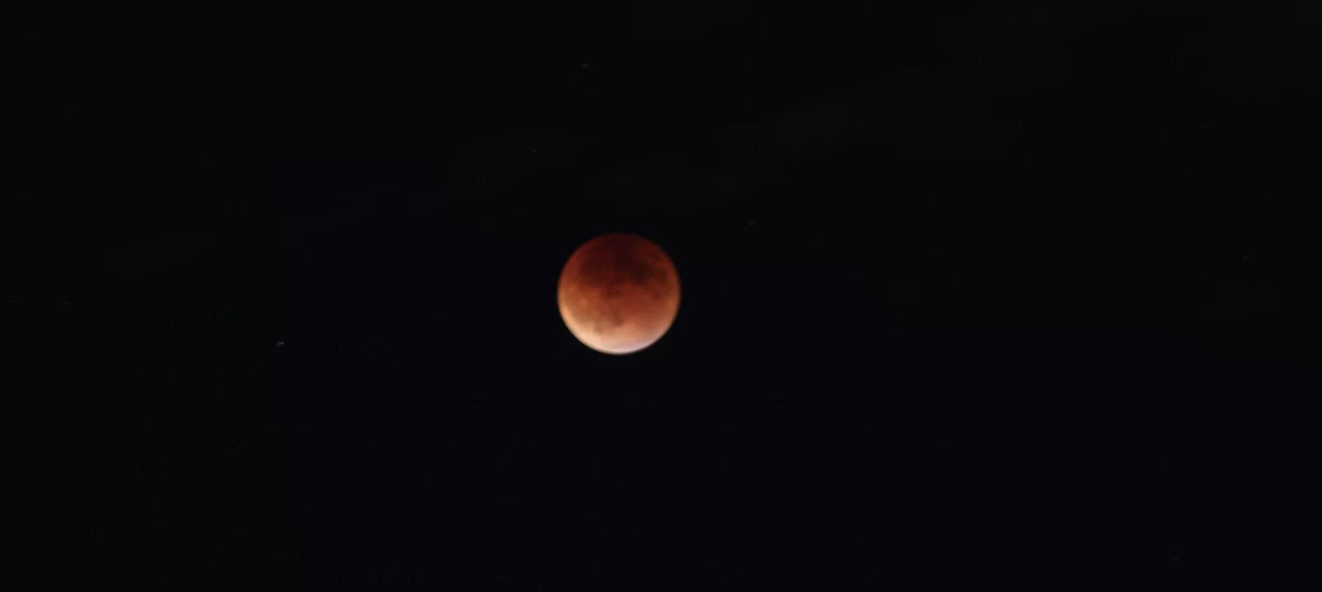 Blood Moon as captured by Polly Liu in Davis, California