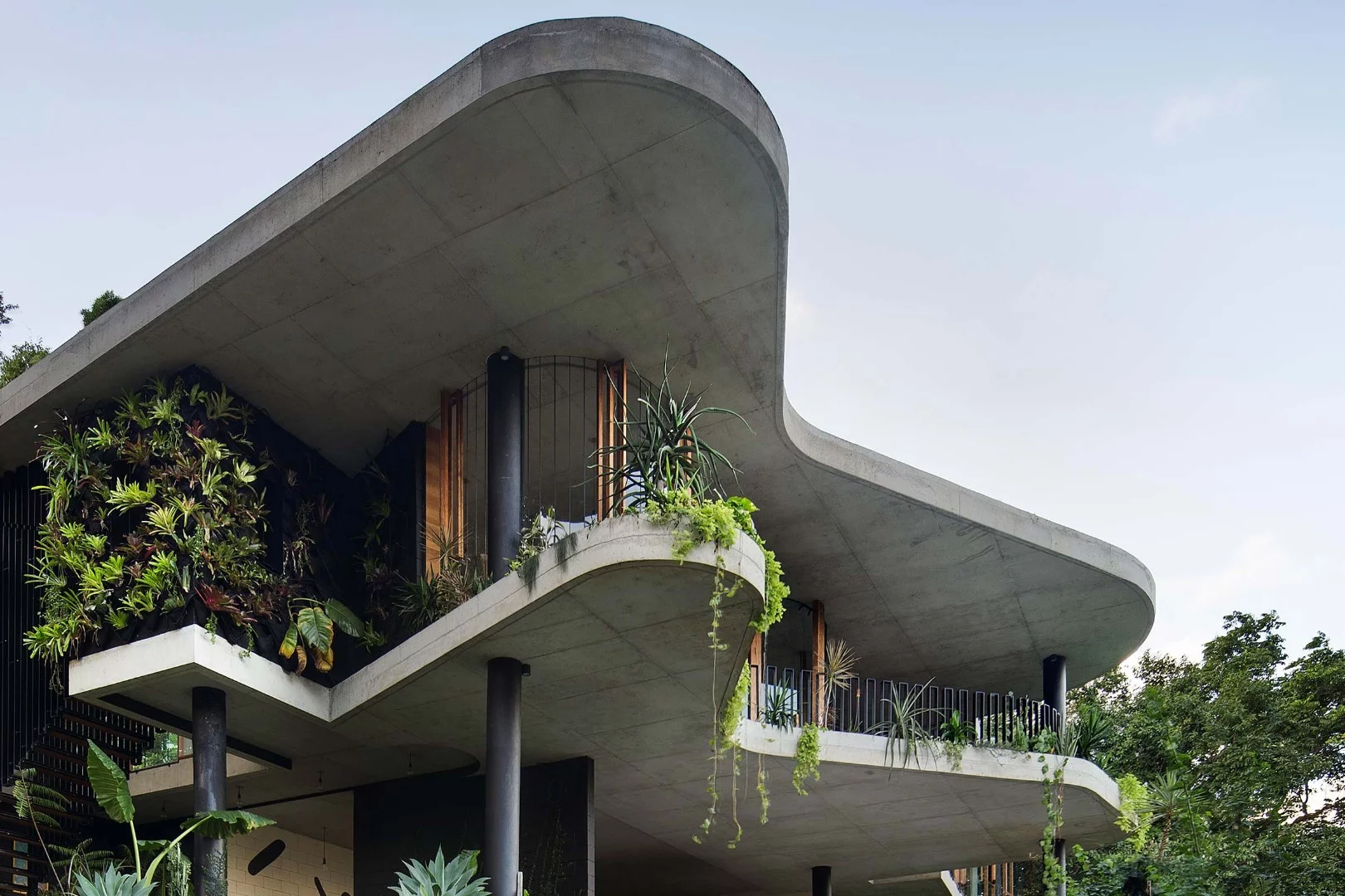 Unsurprisingly, the awards have come thick and fast for the couple behind the Planchonella House