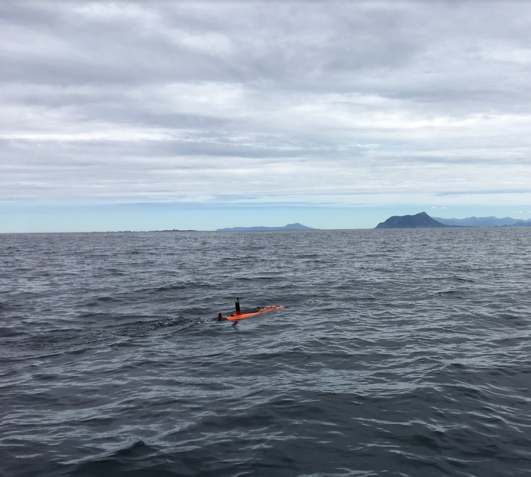 The Harald AUV off the coast of the island of Runde