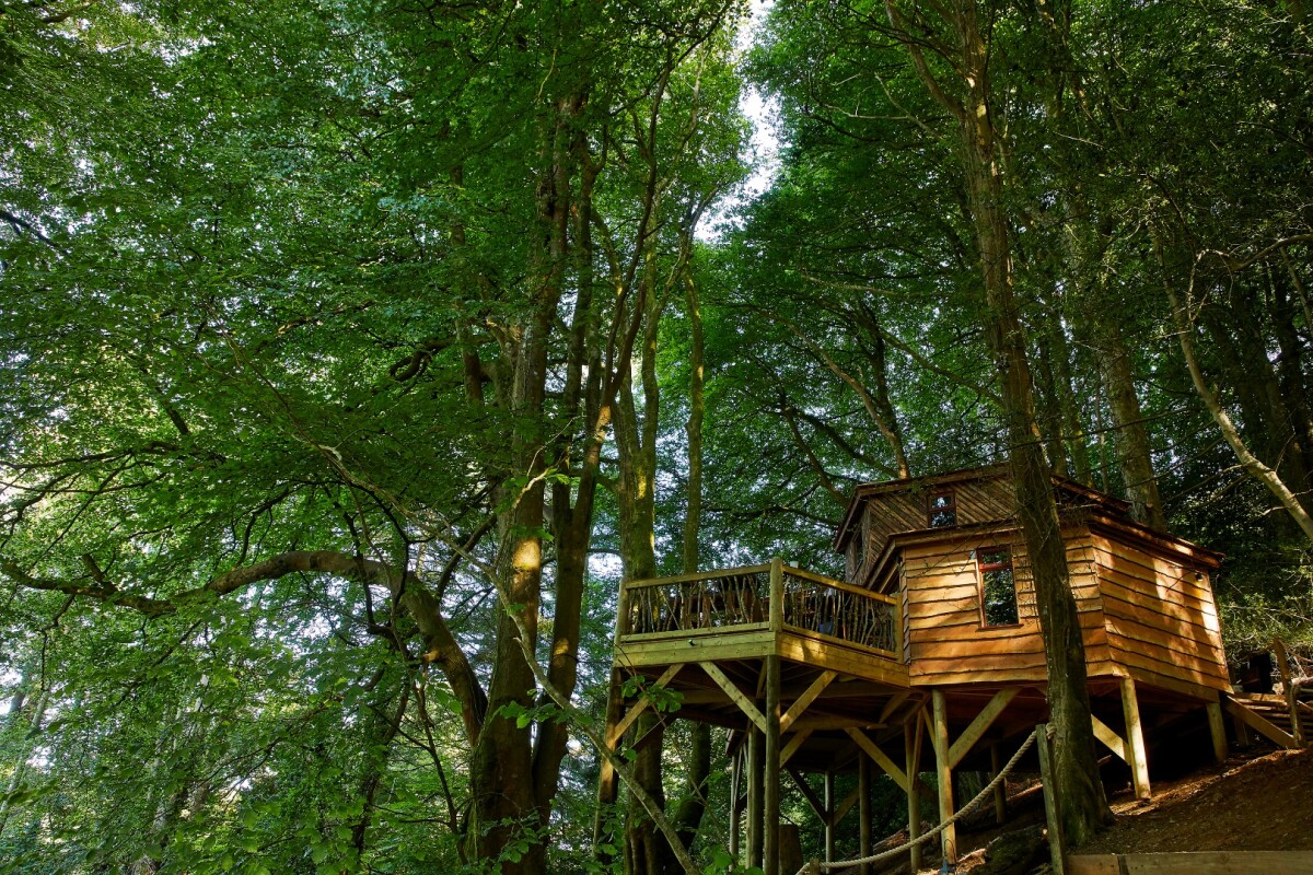 The Treehouse at Ravendere Retreats