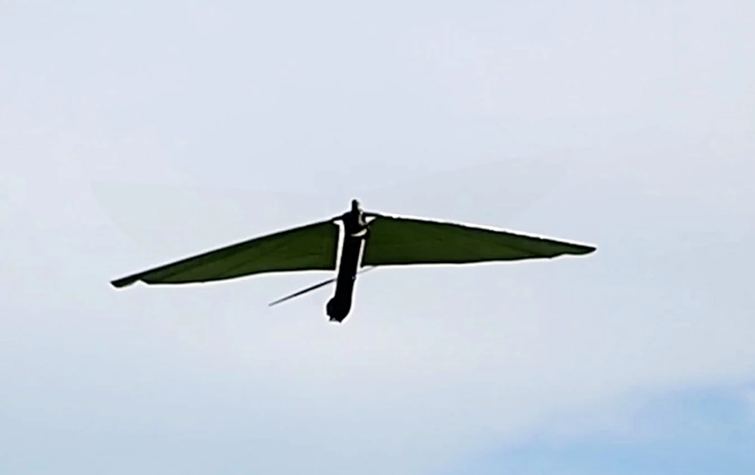 Researchers from the University of Maryland have built a new micro air vehicle dubbed Robo Raven (Photo: University of Maryland)