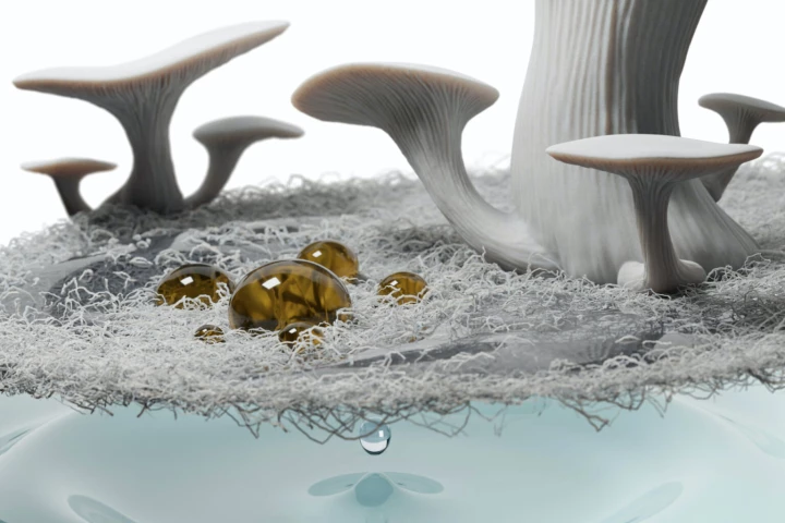 A visualization of the "superamphiphilic" mycelium membrane ... which wouldn't actually have mushrooms sprouting out of it