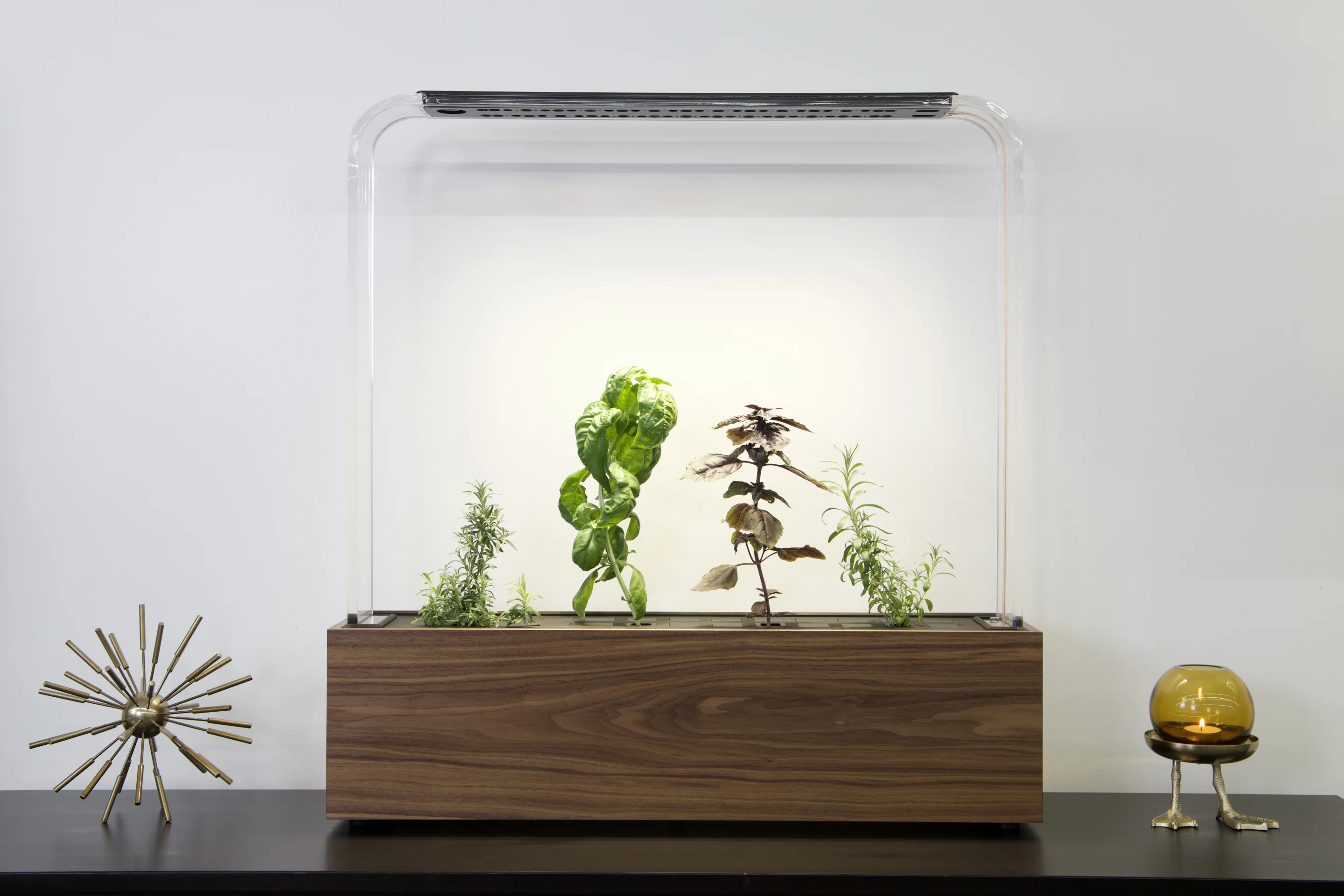 The Herb Garden can hold up to 39 different seed pods at once