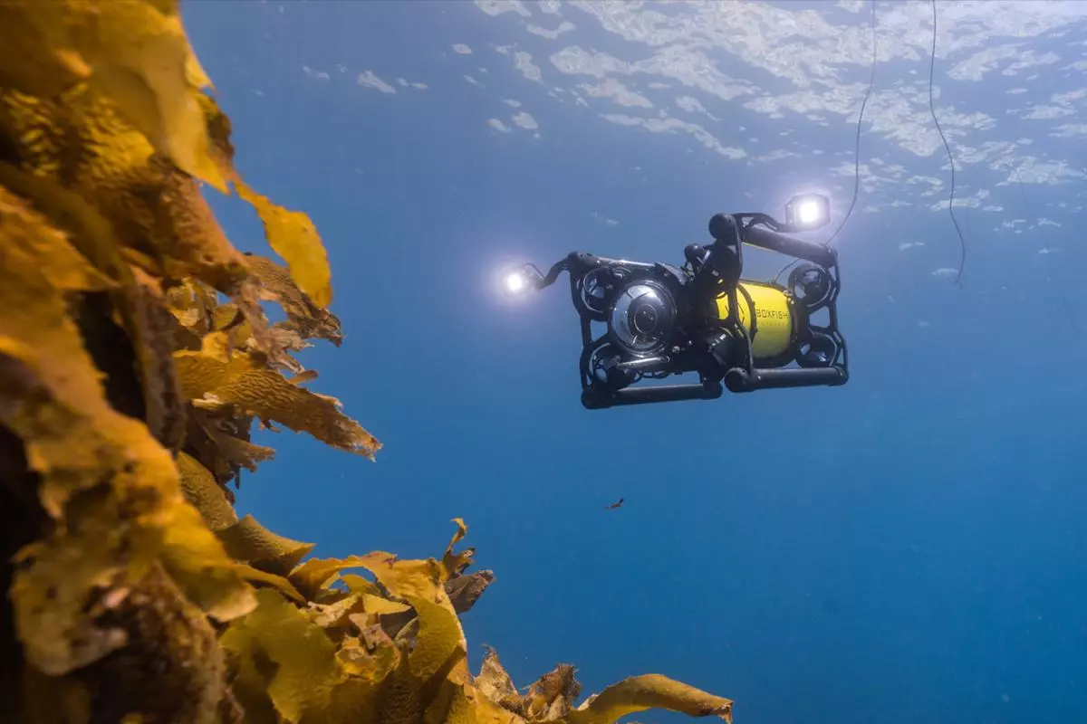 Boxfish ROV: automatic stabilization via eight vectored thrusters