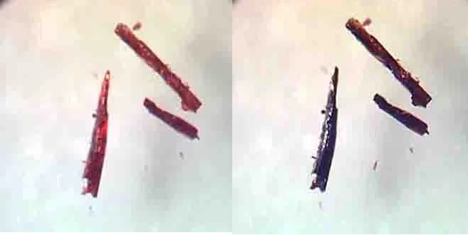 The crystalline material changes color when absorbing or releasing oxygen: black when saturated, pink when oxygen released (Photo: University of Denmark)