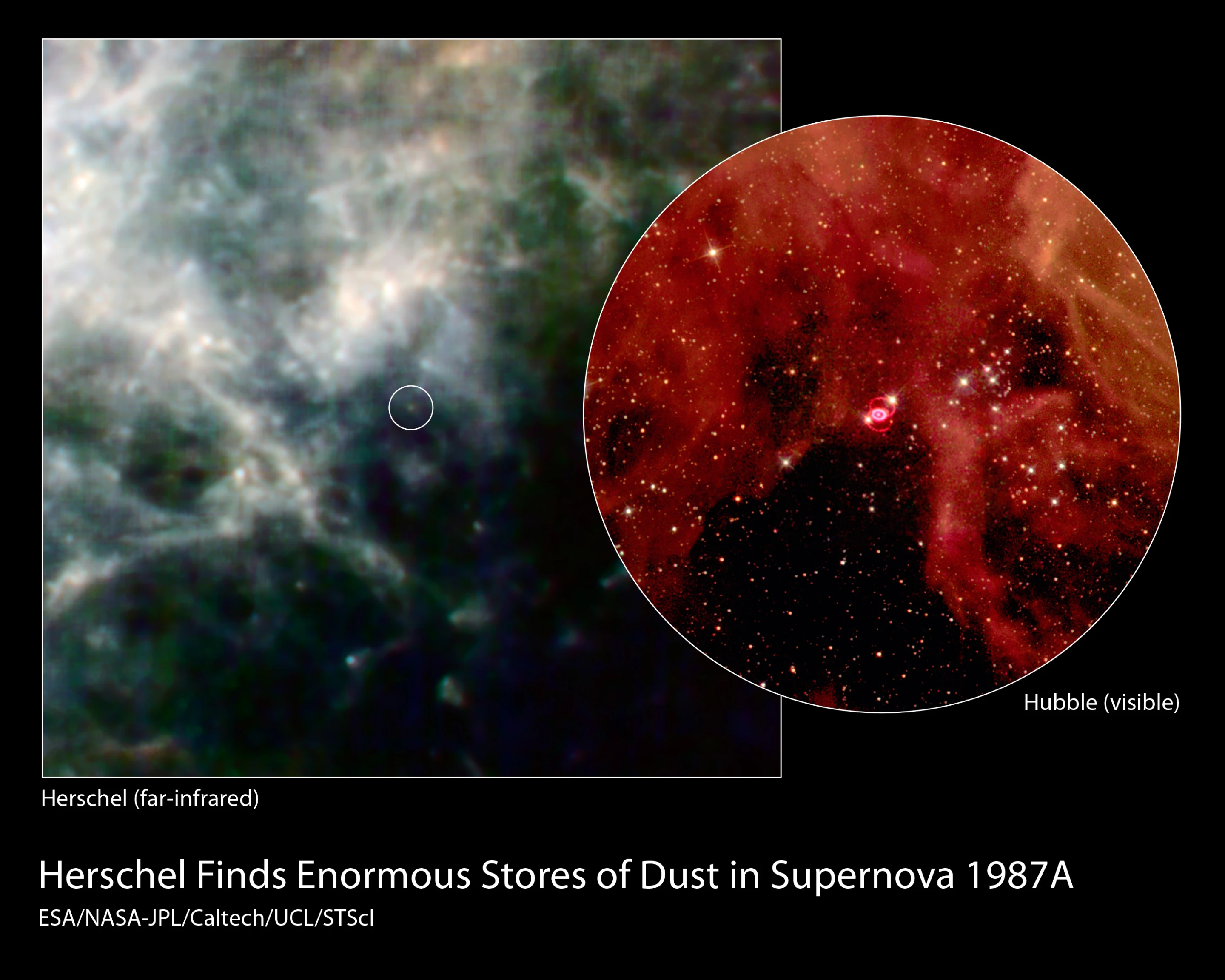 Supernova 1987A as seen by Herschel and Hubble (Image: ESA/Herschel/PACS/SPIRE/NASA-JPL/Caltech/UCL/STScI and the Hubble Heritage Team (AURA/STScI/NASA/ESA))