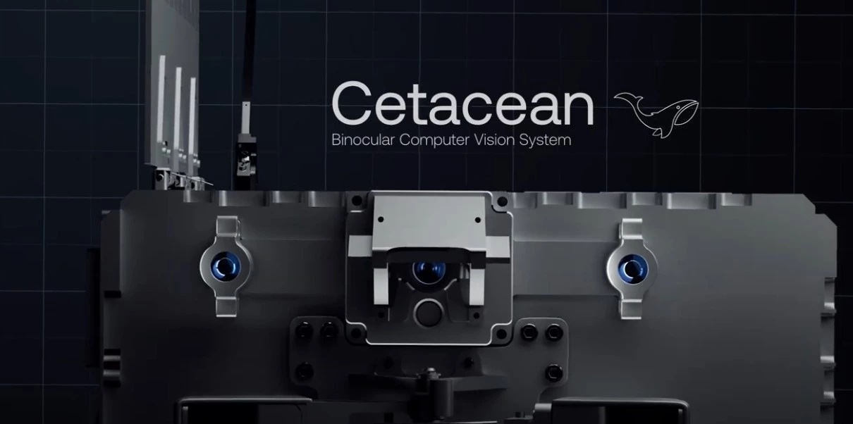The Cetacean computer vision system