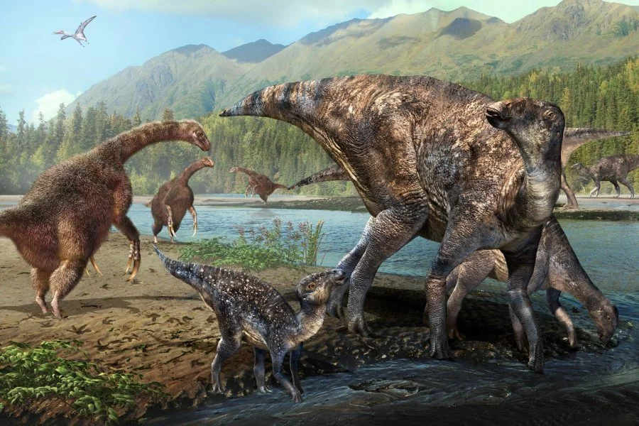 An artist's imagining of therizinosaurs (left) and hadrosaurs (right) living side-by-side in ancient Alaska
