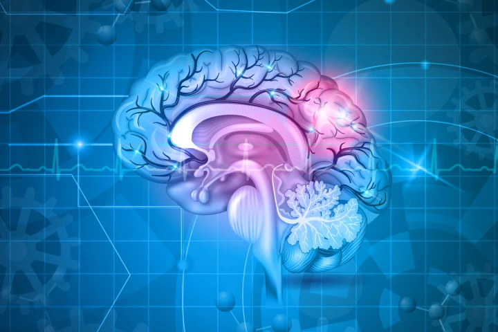 Novel findings point to new research pathways to treat neurodegenerative disease such as Alzheimer's