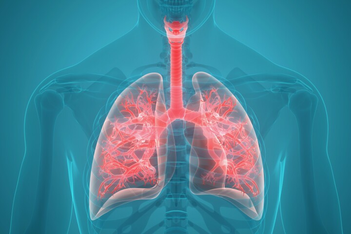 The SHIELD powder is claimed to enhance the virus-blocking properties of the lungs' mucosal layer