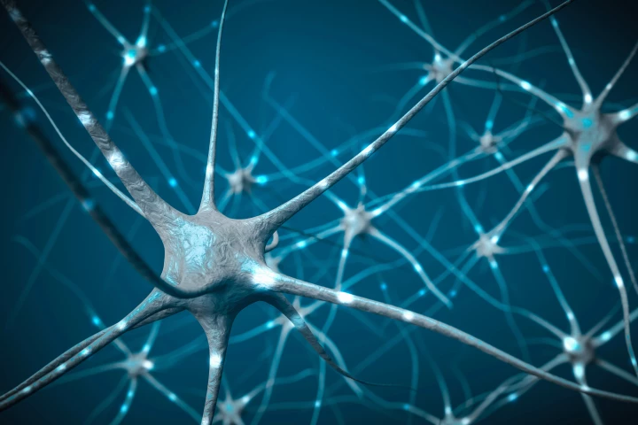 This drug discovery promises molecular rehabilitation for stroke patients