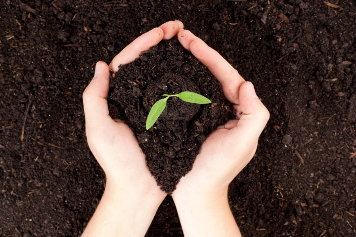 Researchers at the University of Adelaide have developed a graphene oxide-based fertilizer, which is able to bind to and release essential plant nutrients more effectively