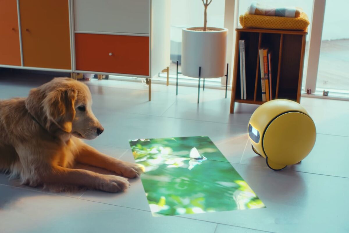 Samsung Ballie with 1080p projector