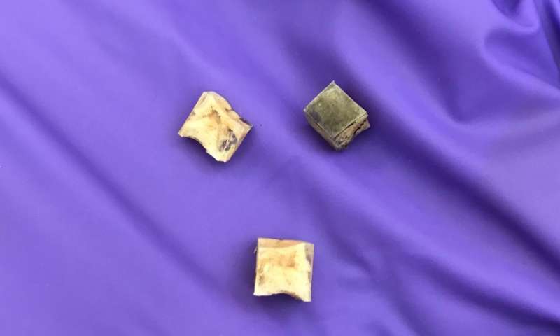 Sample blocks of Rice University's PVA-treated h-BN foam, which can adsorb 3.4 times its own weight in CO2