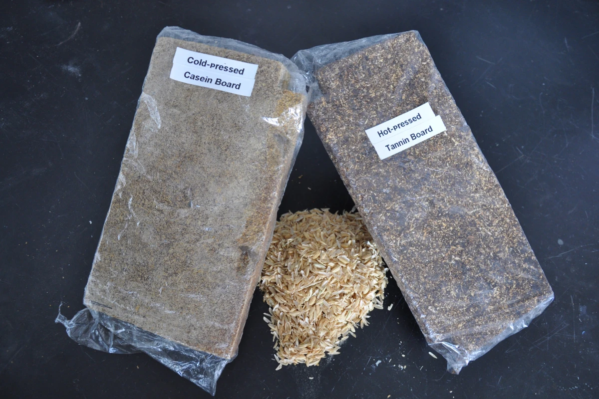 Examples of different types of particleboard made from rice husks