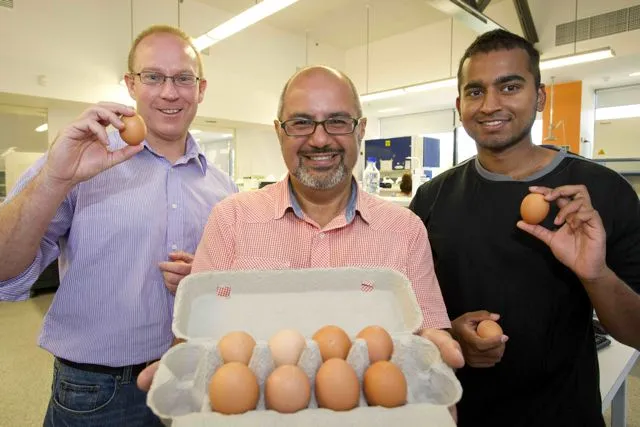 The hypoallergenic egg team: Tim Doran (left), Cenk Suphioglu and Pathum Dhanapala