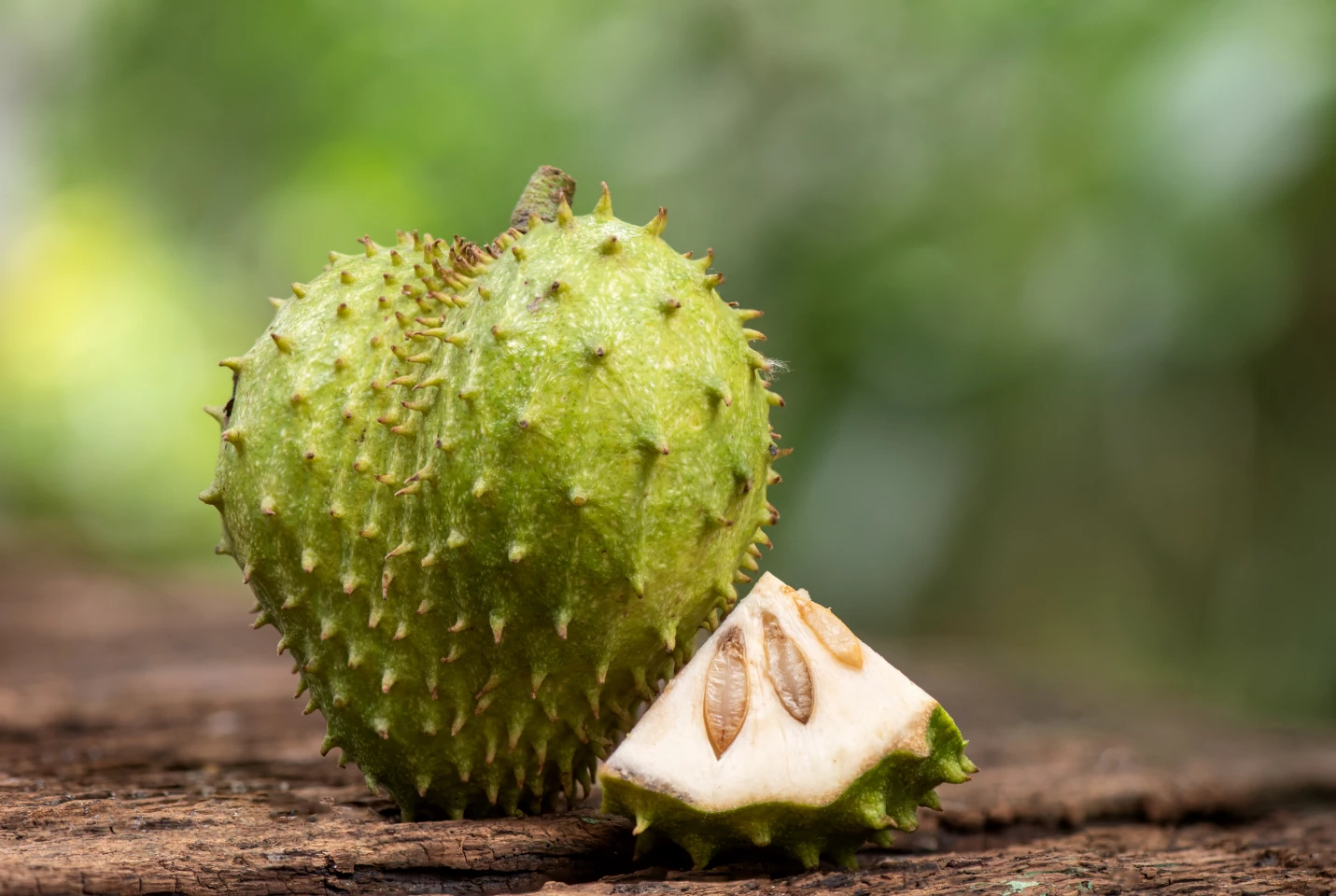 Soursop fruit can be eaten when both ripe and unripe, and the tree's leaves can be brewed for tea
