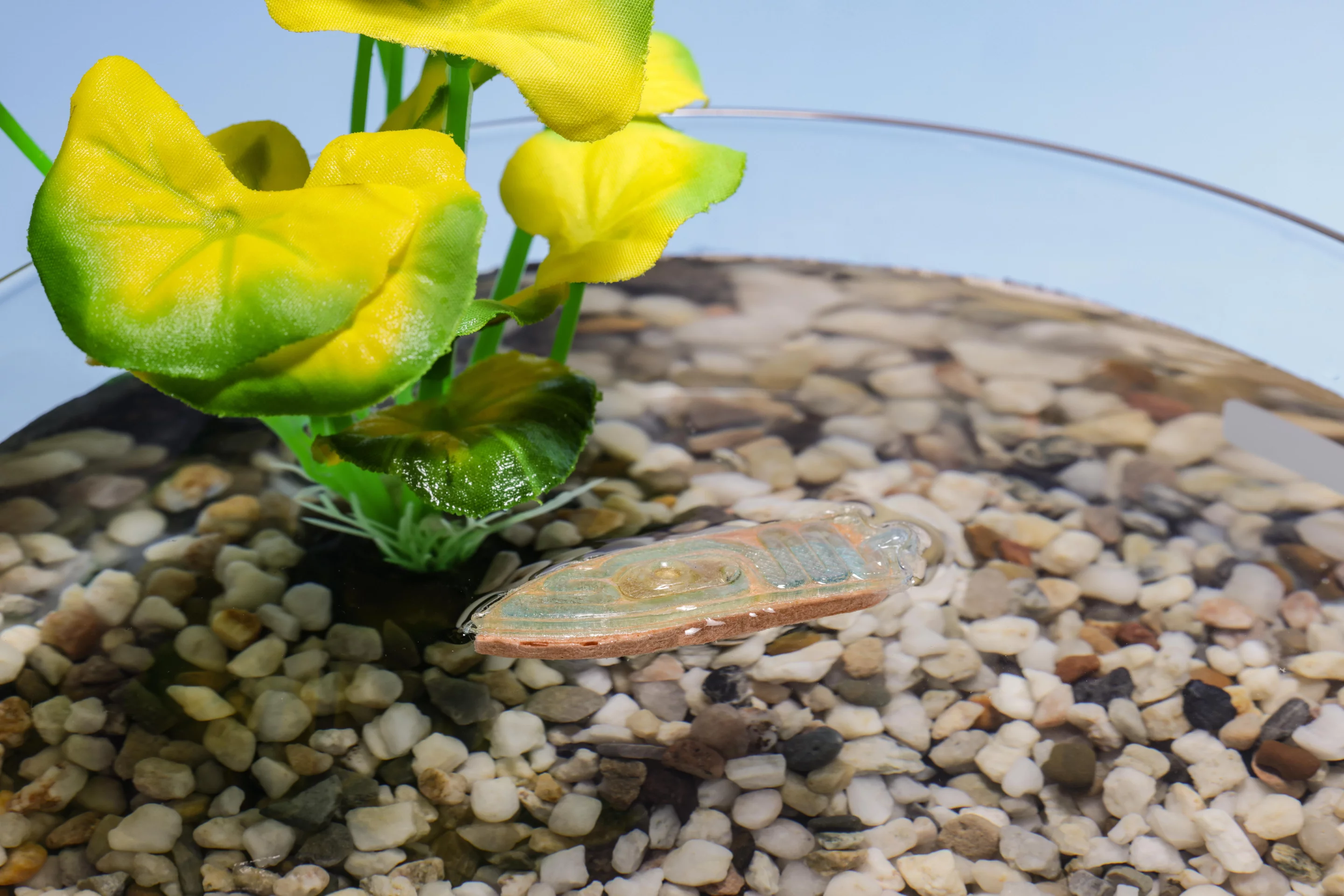 In proof-of-concept tests performed so far, the robots can move across the surface for a few minutes before running out of fuel