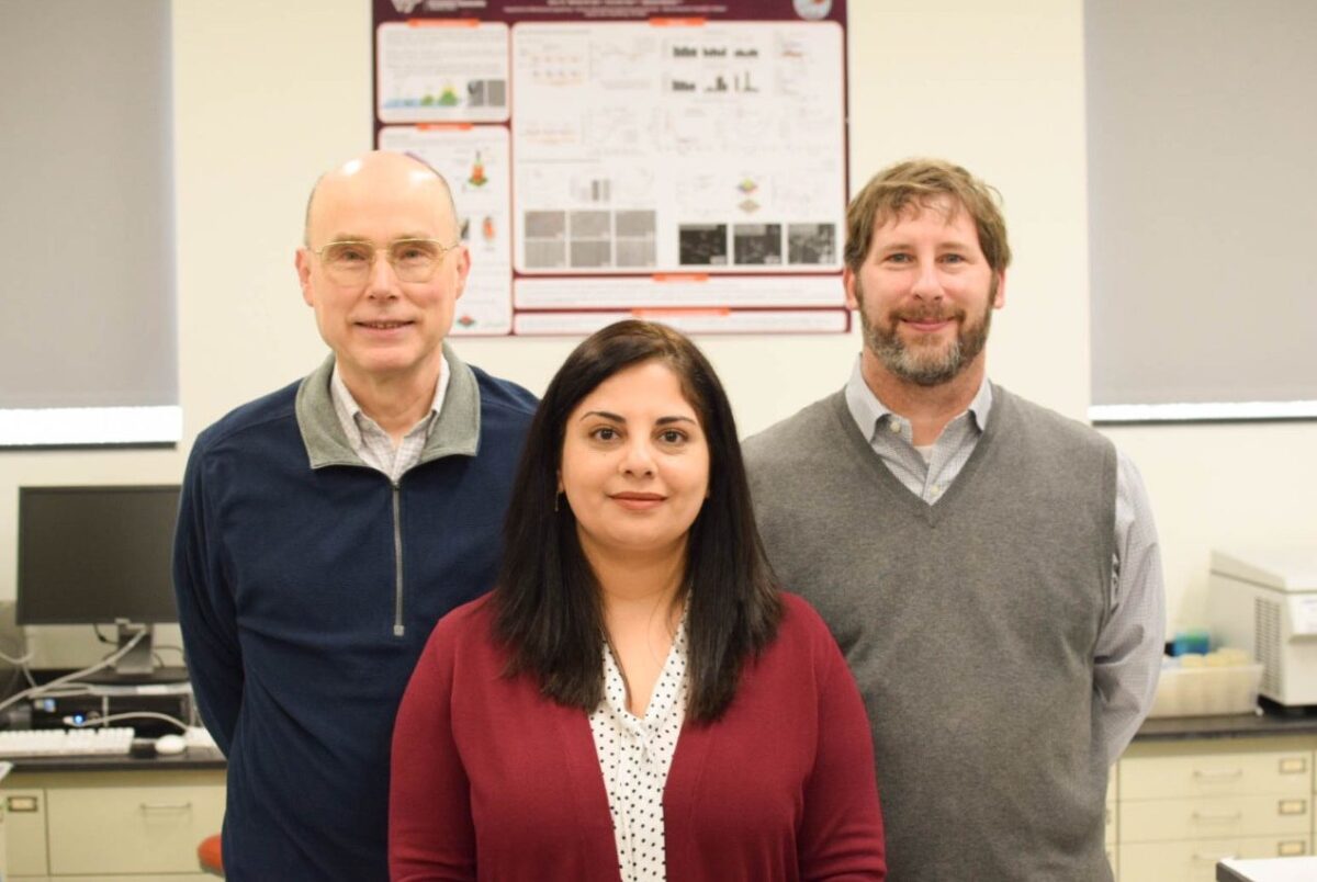 From left to right, Virginia Tech's professor of chemical engineering Rick Davis and associate professor of mechanical engineering Bahareh Behkam, worked with assistant professor of biomedical sciences and pathobiology in the Virginia-Maryland College of Veterinary Medicine, Coy Allen, to develop a new kind of cancer drug delivery vehicle
