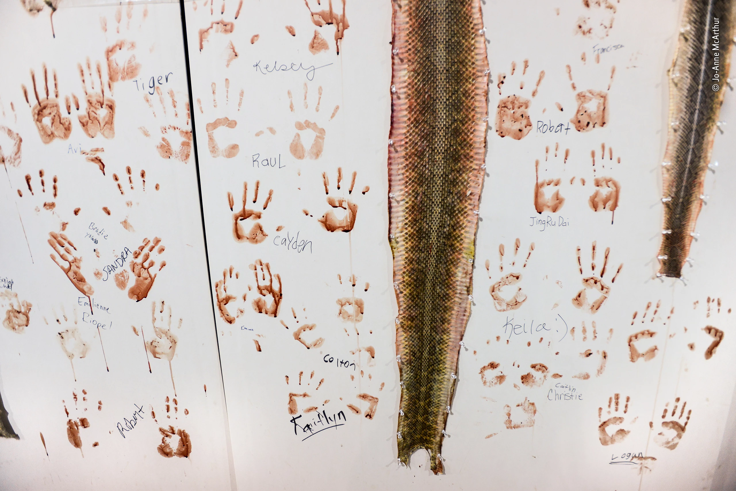 "The wall of shame" by Jo-Anne McArthur, Canada. Highly Commended 2019, Wildlife Photojournalism. Pinned to a white wall are the skins of rattlesnakes. Surrounding them are signed bloody handprints – triumphant marks of those who have skinned snakes at the annual rattlesnake round-up in Sweetwater, Texas. Each year tens of thousands of rattlesnakes are caught for this four‑day festival. In spring, wranglers use gasoline to flush the snakes out of their winter dens – a practice banned in many US states. They are kept in poor conditions before being brought to the festival and tossed into snake pits. They are then decapitated as entertainment for festival-goers, who pay to skin them. Proponents of the roundups claim they are needed to control the populations of venomous snakes to ensure the safety of people, pets and livestock. But opponents regard round-ups as an ecologically damaging, unsustainable and inhumane practice. What Jo-Anne found most unsettling about this image was ‘that so many of the bloodied handprints belonged to children’.