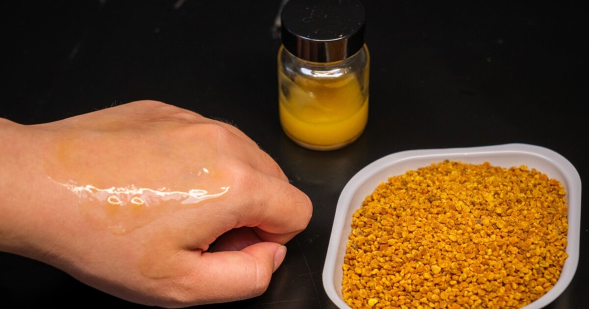 Coral-safe sunscreen uses plant pollen for UV protection Coral-safe sunscreen uses plant pollen for UV protection